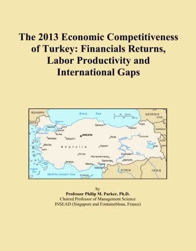 The 2013 Economic Competitiveness of Turkey: Financials Returns, Labor Productivity and International Gaps