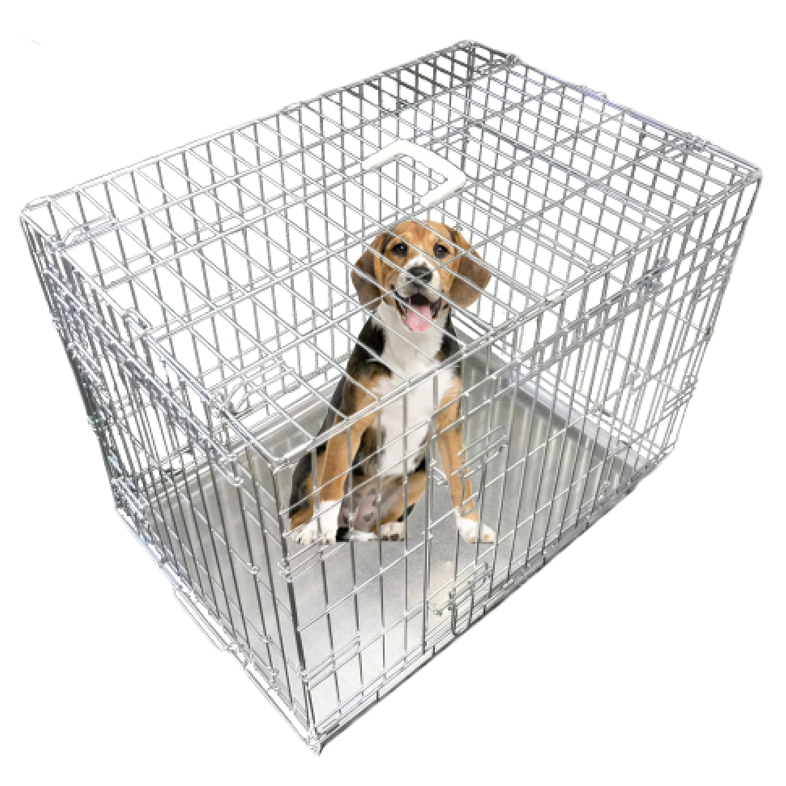 Ellie-Bo Silver Standard XXL 48-inch Folding 2-Door Dog Cage/Crate with Metal Tray
