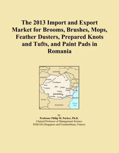 The 2013 Import and Export Market for Brooms, Brushes, Mops, Feather Dusters, Prepared Knots and Tufts, and Paint Pads in Romania
