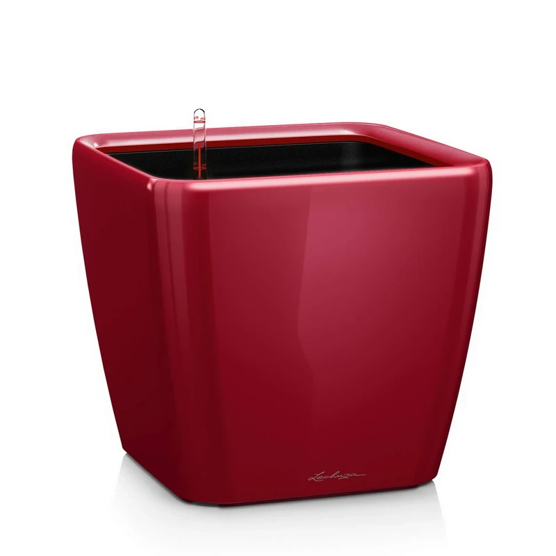 Lechuza Self Watering Plant Pot QUADRO LS 28 Garden Flower Indoor and Outdoor Plastic Small Planter with Drainage Hole H26 L28 W28 cm Scarlet Red High-Gloss