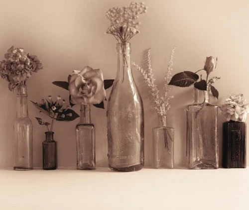 Ian Winstanley "Flower Collection Canvas Print, Multi-Colour, 60 x 80 cm