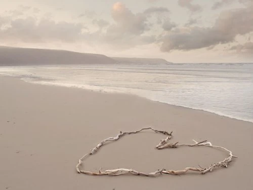 Ian Winstanley Howard Shooter "Picante" Canvas Print, Multi-Colour, 40 x 50 cm