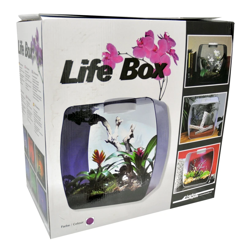 Lucky Reptile Life Box Designer Terrarium