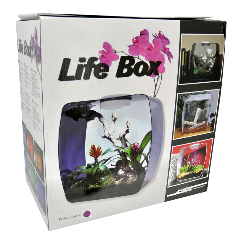 Lucky Reptile Life Box Designer Terrarium
