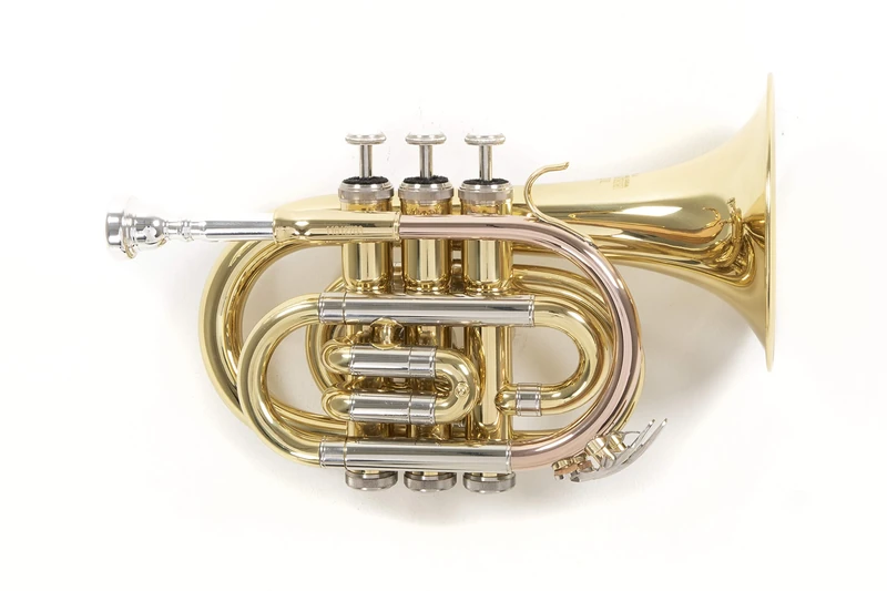 Roy Benson MOD.PT-302 BB Lacquered finish, Bell diameter 125 mm, Pocket Trumpet with Light Rectangular Case
