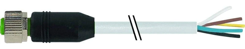 M12 socket ger. With cable end