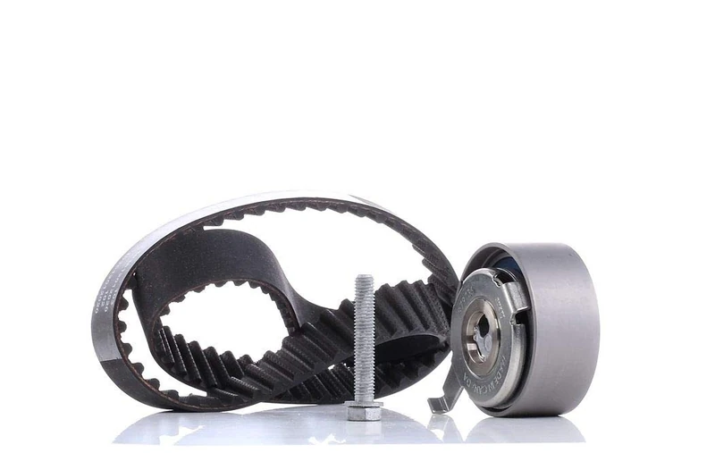 INA 530 0481 10 Timing Belt Kit