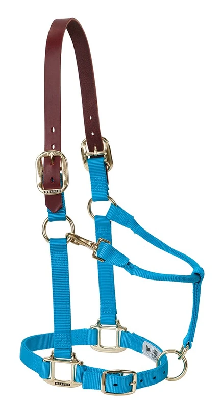 Weaver Equine Nylon Adjustable Breakaway Horse Halter - Blue