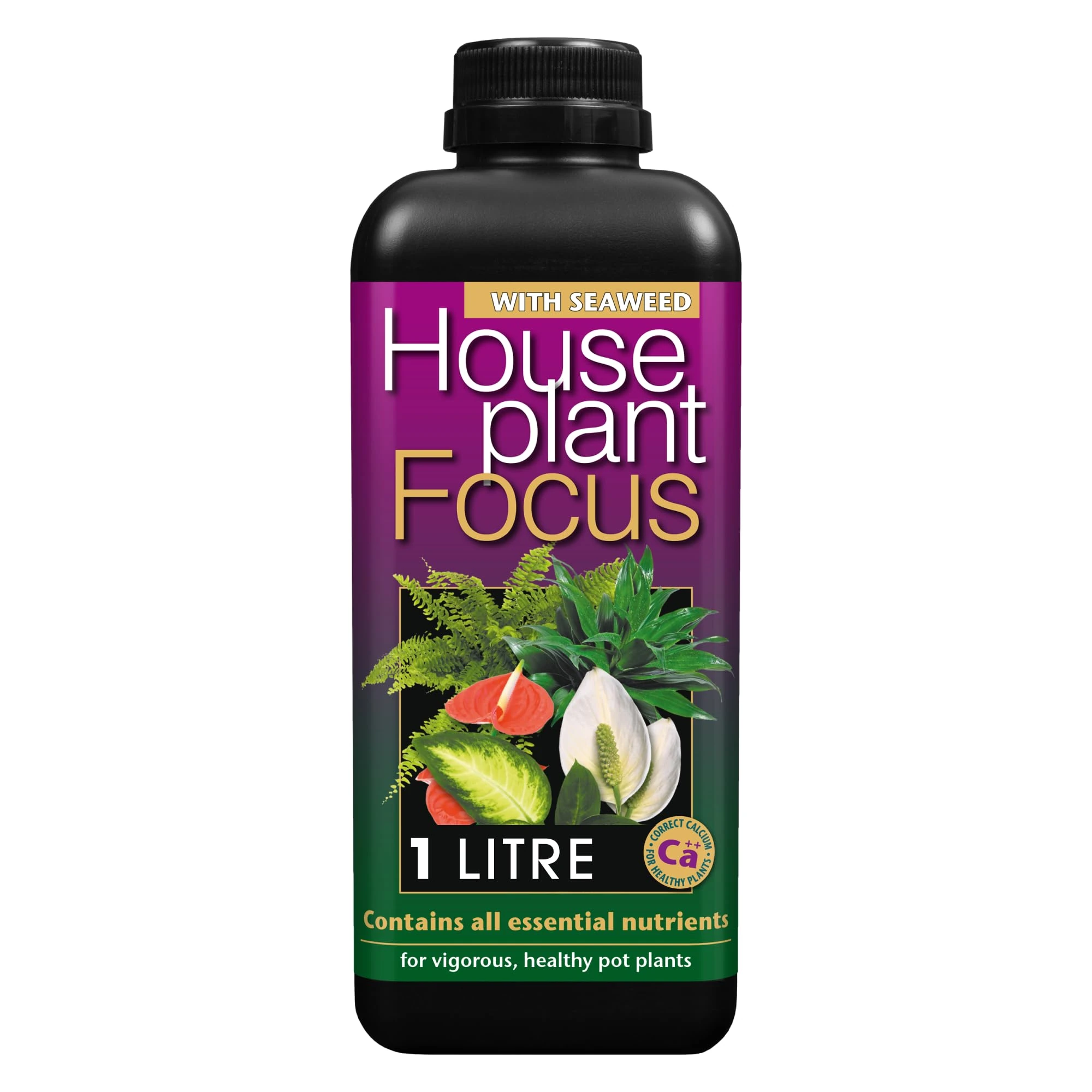 Houseplant Focus Concentrated Liquid Fertiliser, 1 Litre - Growth Technology Fertiliser for Indoor Plants - Professional Grade House Plant Food Concentrate with Kelp Seaweed Extract - Makes 200L