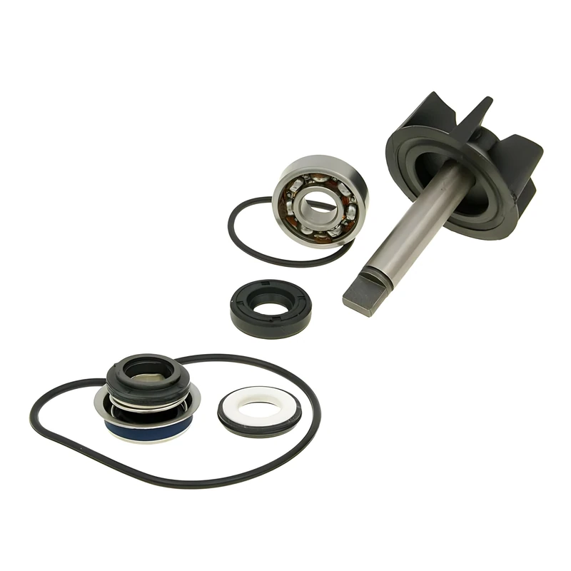 Water Pump Repair Kit for Burgman, Epicuro