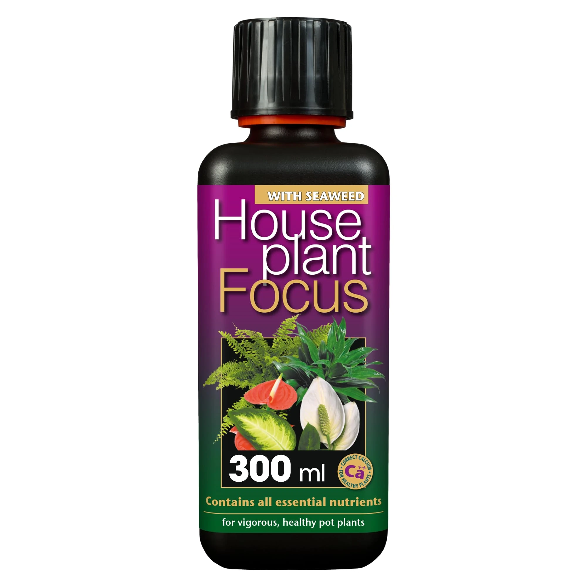 Growth Technology Ltd GTHPF300 Houseplant Focus Balanced Liquid Concentrated Fertiliser 300ml