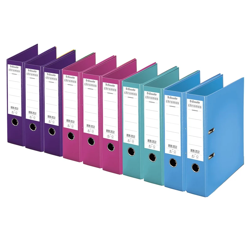 Esselte Chromos Pack of 10 Assorted Mode Lomo 80 mm