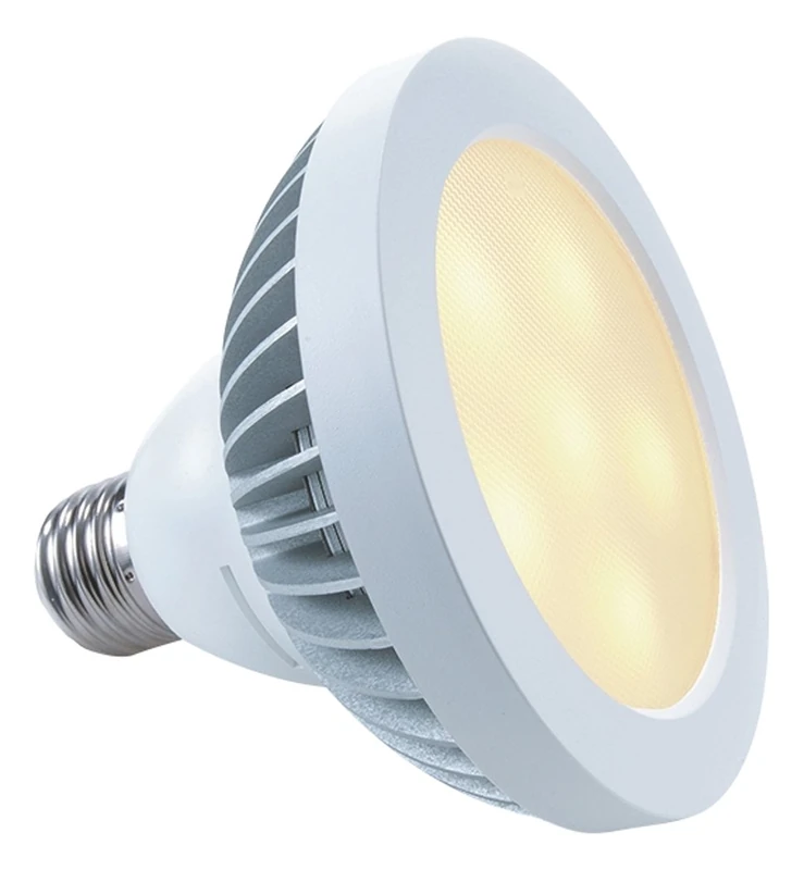 KapegoLED Lamps, PAR 30, 220-240V AC/50-60Hz, E27, 10.00 W, Aluminium, Silver - Image 1