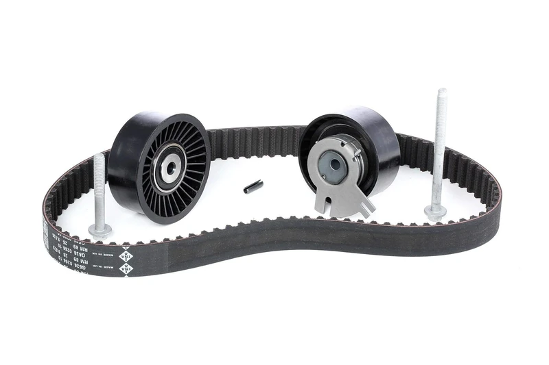 INA 530 0198 10 Timing Belt Kit, Black