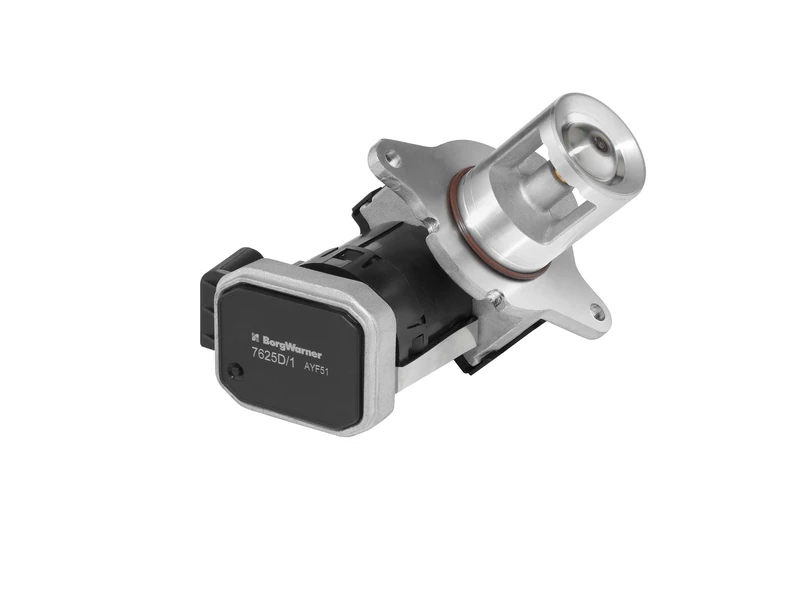 WAHLER 7625D EGR Valves