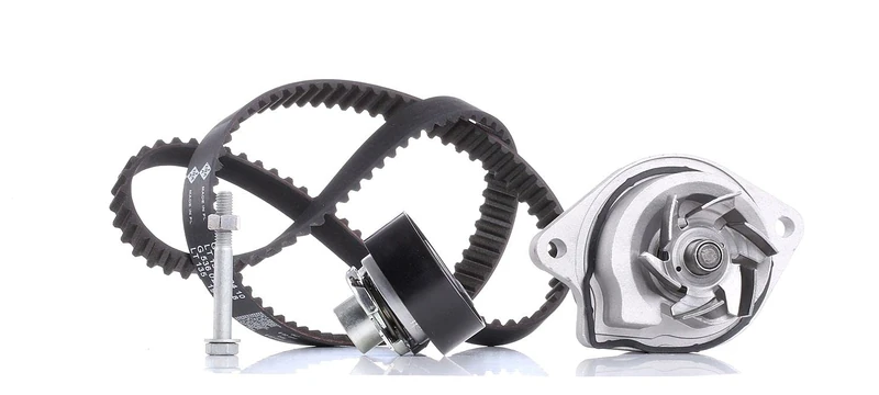 INA 530 0166 31 Water Pump & Timing Belt Kit