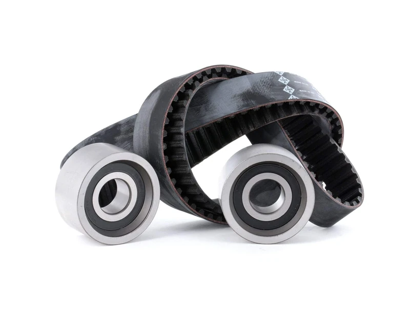 INA 530 0113 10 Timing Belt Kit