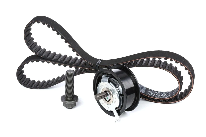 INA 530 0164 10 Timing Belt Kit