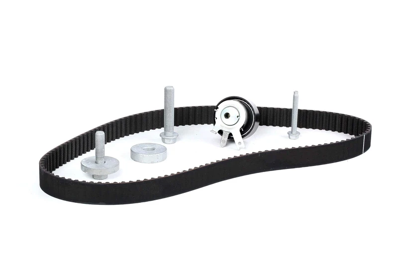 INA 530 0197 10 Timing Belt Kit, Black