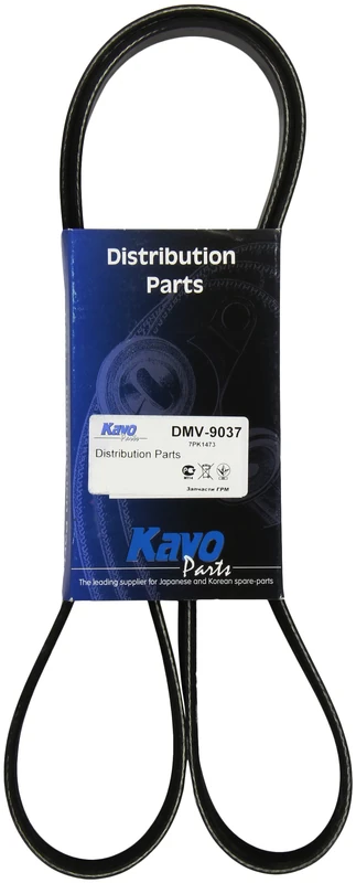 Kavo DMV-9037 V-Ribbed Belts - Image 1