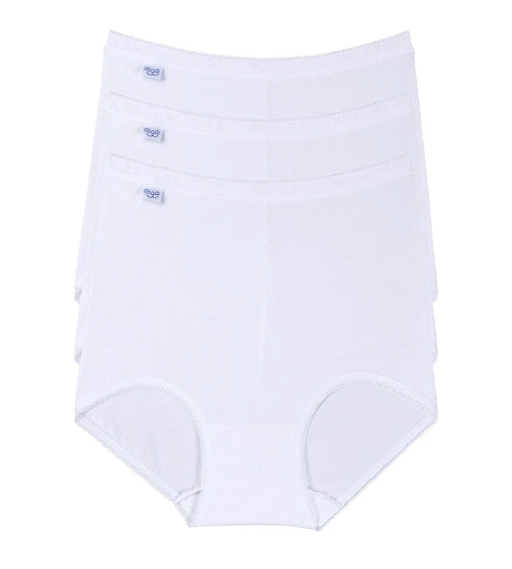 Sloggi Women's Basic+ Maxi 3p Slip,Multicolor (Violet/Dark Combination), 10