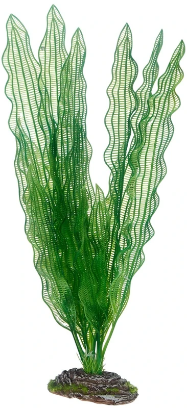 Hobby 51579 Aponogeton 39 cm - Image 1