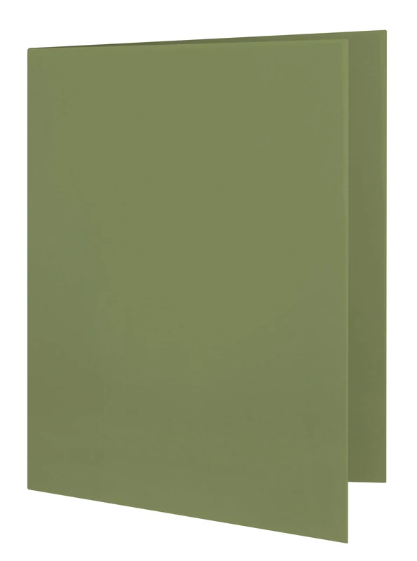 Elba 32450BL Document Cover 250 g/sq. m Manila Cardboard for 100 DIN A4 Pages Set of 100 Blue Folder grün