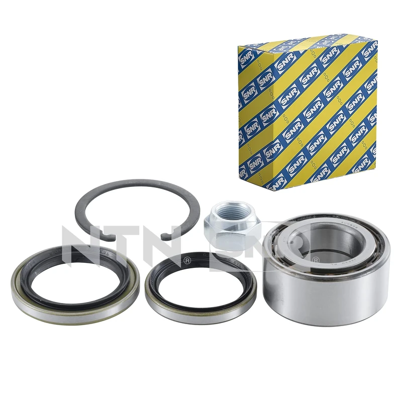 SNR r173.36 Set of bearings Wheel Cylinder