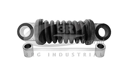 3RG 10225 Riemannscher Belt Poli V
