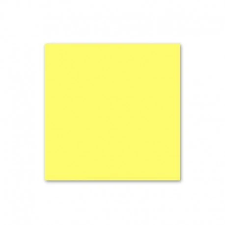 Lee Filters 3100u2 Light Yellow Resin Filter