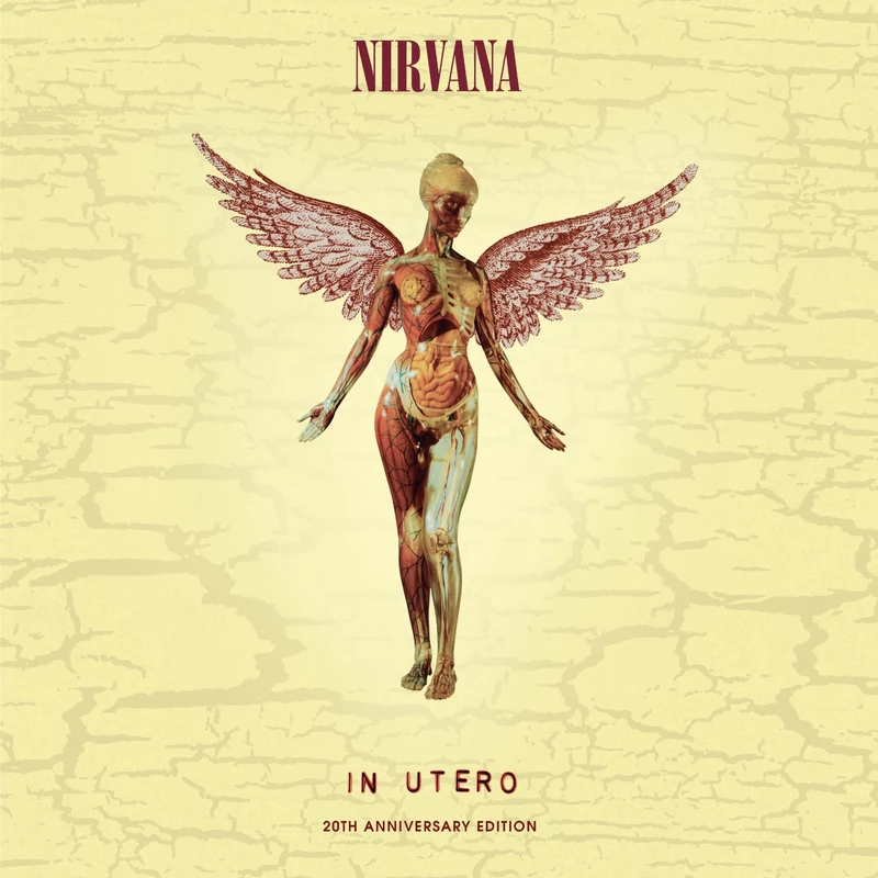 In Utero - Image 1