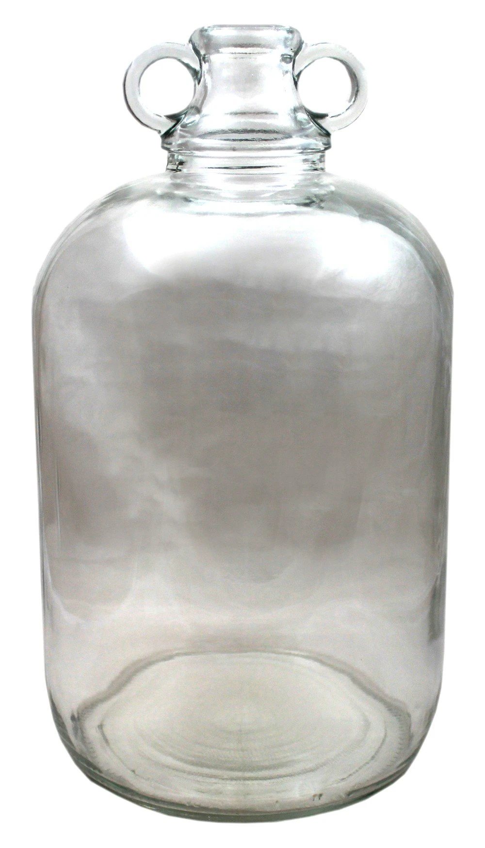 Glass 1 Gallon Demijohns