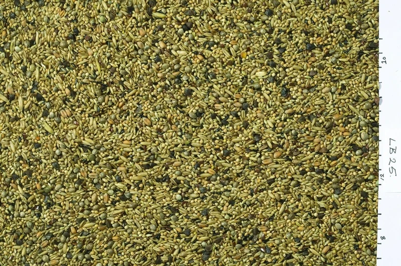 Johnston & Jeff Love Bird Food, 20 kg