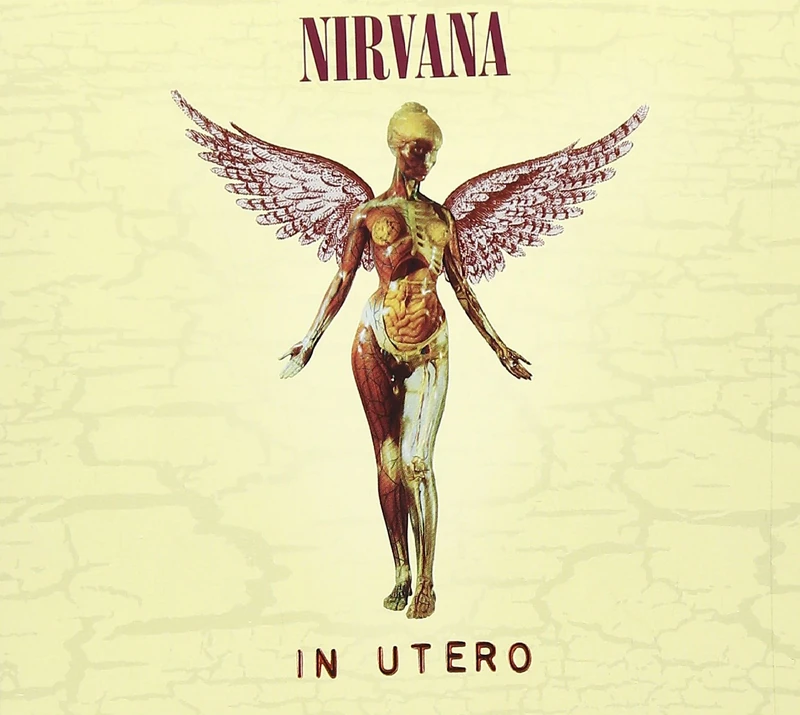 In Utero Deluxe Edition [SHM-CD]