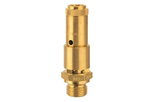 RIEGLER 104424-227.44-2.6 Safety Valve DN 10 Brass G 3/8 Response Pressure 2.6 Bar Pack of 1