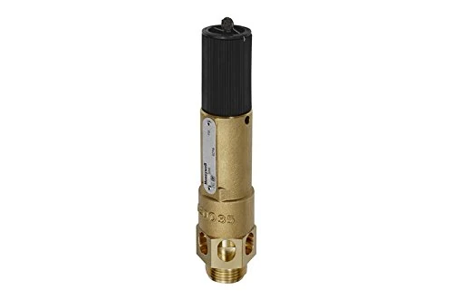RIEGLER 105220-1144.03-1.5 High-Performance Safety Valve, MS, G 1, Response Pressure 1.5 bar, 1 Piece
