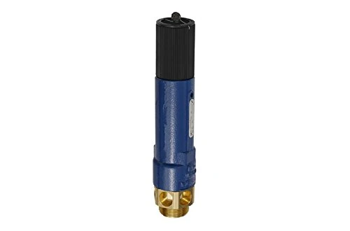 RIEGLER 105388-1145.03-2.5 High Performance Safety Valve, MS, G 2, 2.5 Bar Response Pressure, Pack of 1
