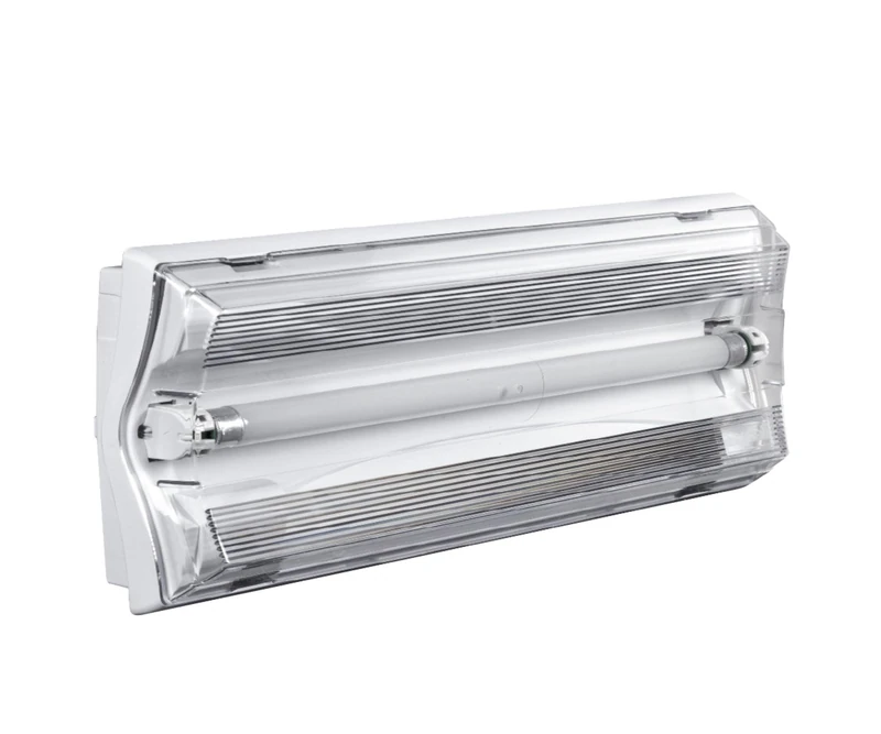 Beghelli BEG19056 Emergency Ceiling Light 11 W, Multi-Coloured