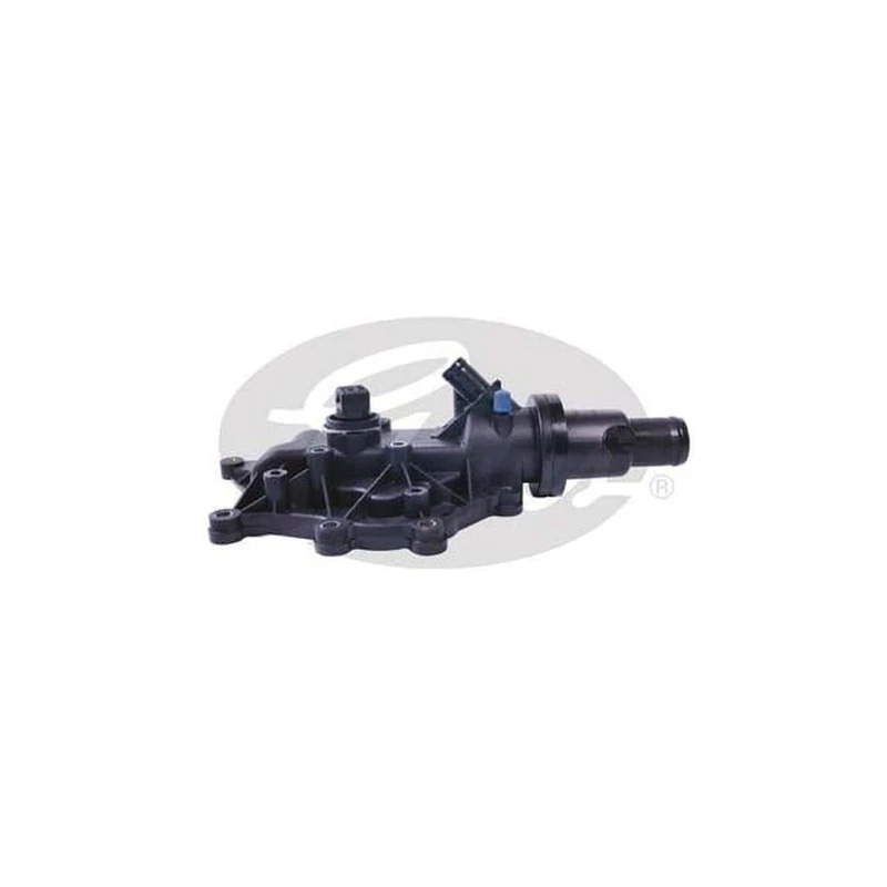 GATES Thermostat TH40289G1