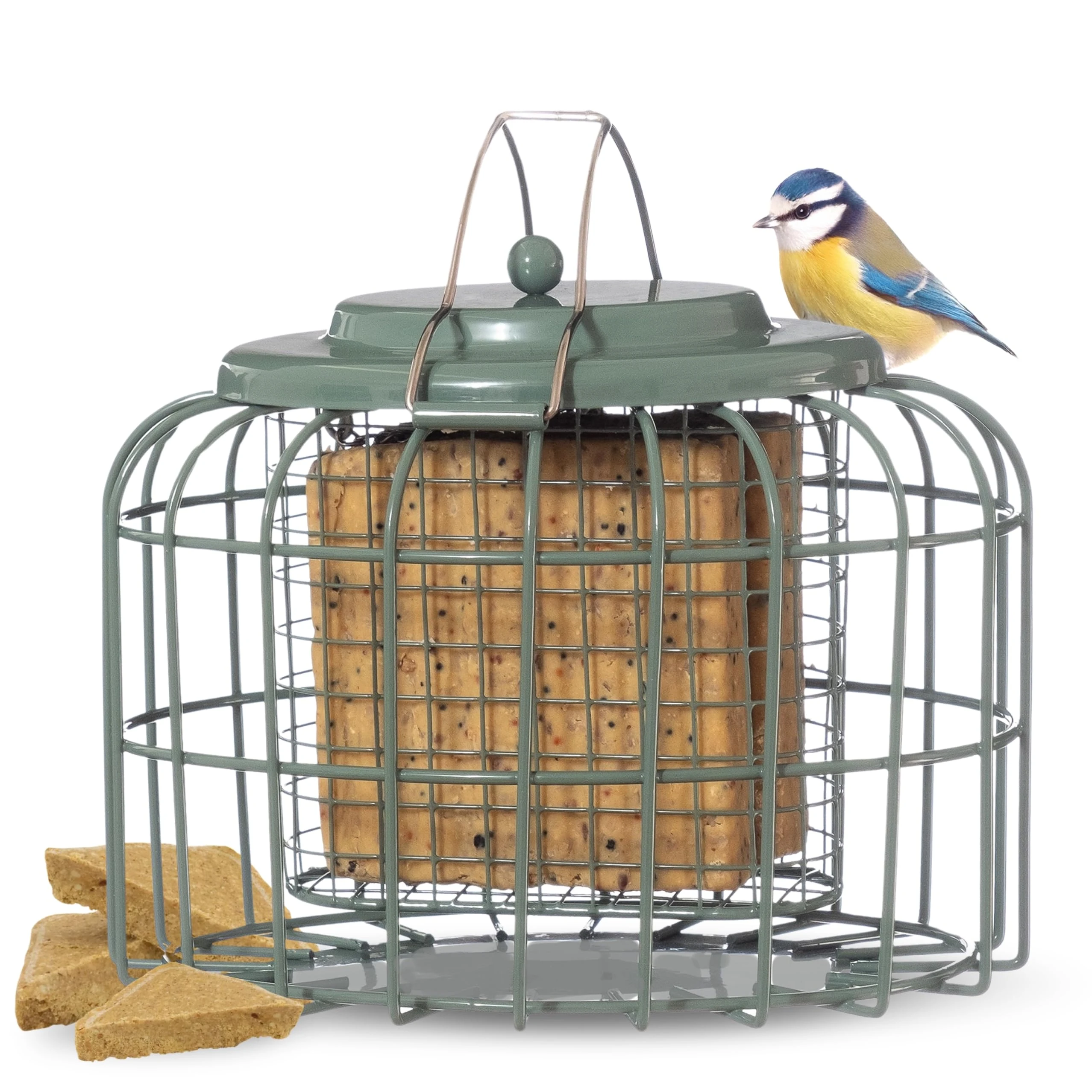 The Nuttery Oval Suet Block & Fatball Bird Feeder OVLC03 – Squirrel-Proof Outdoor Hanging Feeder – Durable Metal Design – Weather Resistant – Garden Use