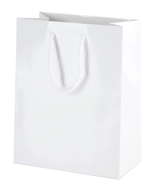 Thepaperbagstore 10× White Small Gloss Laminated Gift Bags 16×21×10cm – 250 gsm Boutique Paper Bags with Rope Handles & Reinforced Base – Ideal for Gifts, Weddings, Retail & Corporate Use