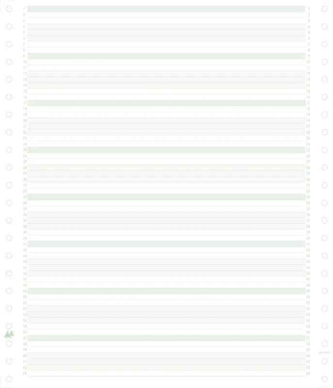 Exacompta 62211E 2000 Sheets 240 x 11 1 Ply Non Detachable Strips, 60 g