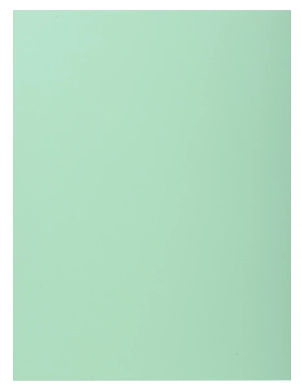 Exacompta - Ref 348004E - Super 210 1-Flap Folders - 240 x 320mm in Size, Suitable for Holding A4 Documents, 160gsm Card, Single Fold Over Flap - Green (Pack of 100)
