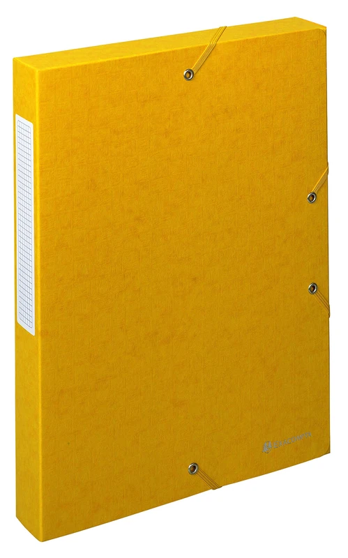 Exacompta - Ref. 50819E - 10 filing boxes with Scotten rubber bands - in 600g/m2 embossed glossy card - spine 4 cm - dimensions 25 x 33 cm - for A4 documents - yellow color - delivered assembled