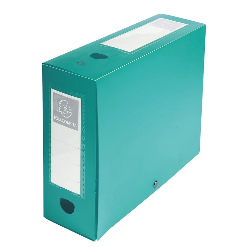 Exacompta - Ref. 59933E - 10 snap-on filing boxes 100mm back opaque 7/10th polypropylene - green
