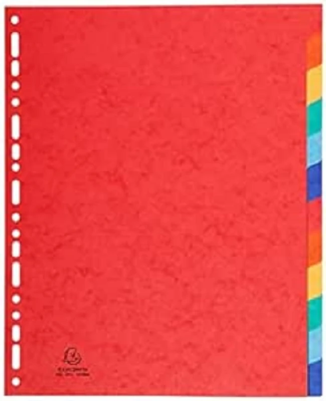 Exacompta 15 dividers glossy card rigid 12 blank tabs A4 Maxi