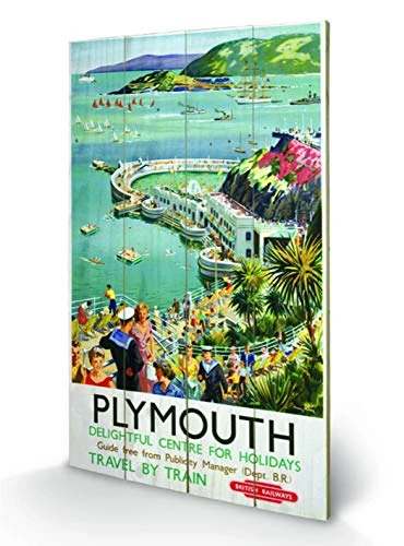 Pyramid International Plymouth 2 Wood Print, Multi-Colour, 45 x 76 x 1.3 cm