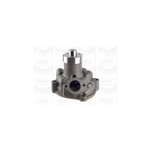 Graf PA031 Water Pump