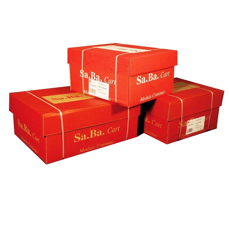 Sa.Ba.Cart S01240127000 Continuous Form Paper, 240 mm x 12 inches, 70 g/m², White Detachable Slopes, Pack of 2000 Sheets