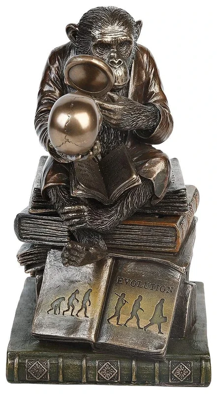 Nemesis Now Darwinism of Evolutionary Theory Box 17.5cm Bronze, Resin